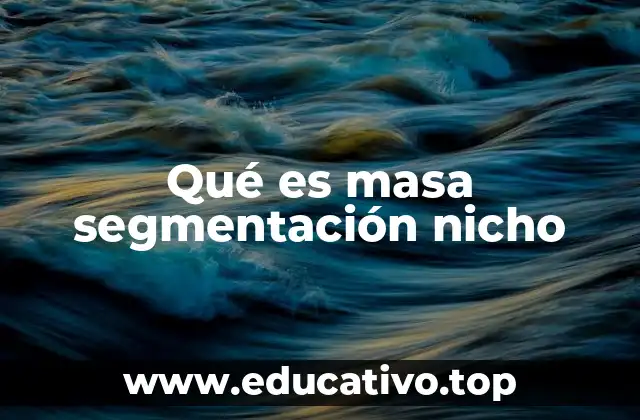 Qué es masa segmentación nicho