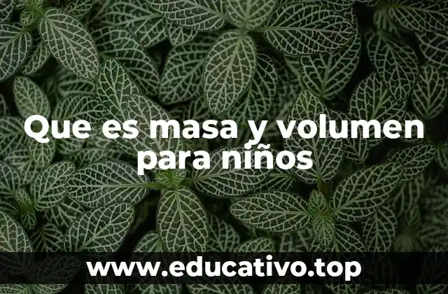 Que es masa y volumen para niños