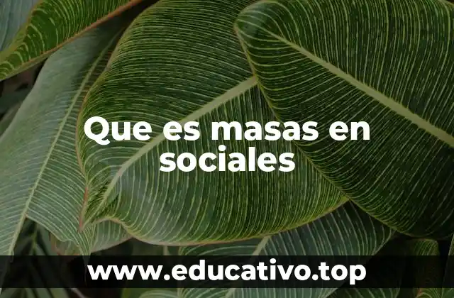 Que es masas en sociales