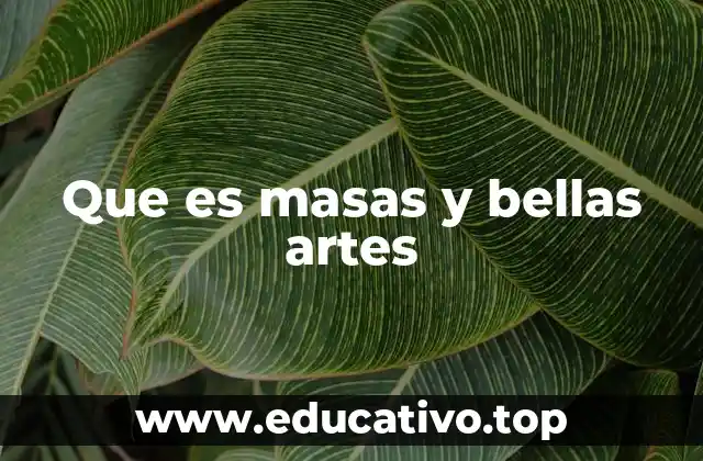 Que es masas y bellas artes