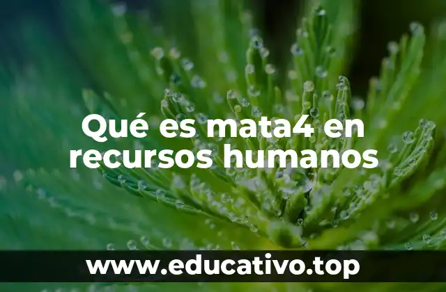 Qué es mata4 en recursos humanos
