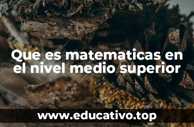 Que es matematicas en el nivel medio superior