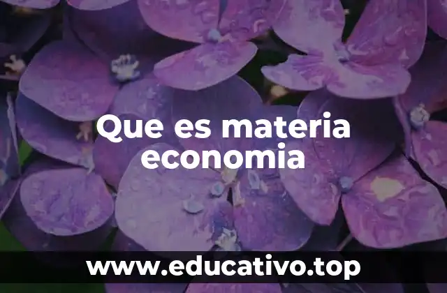 Que es materia economia