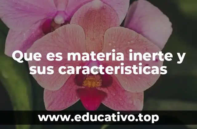 Que es materia inerte y sus caracteristicas