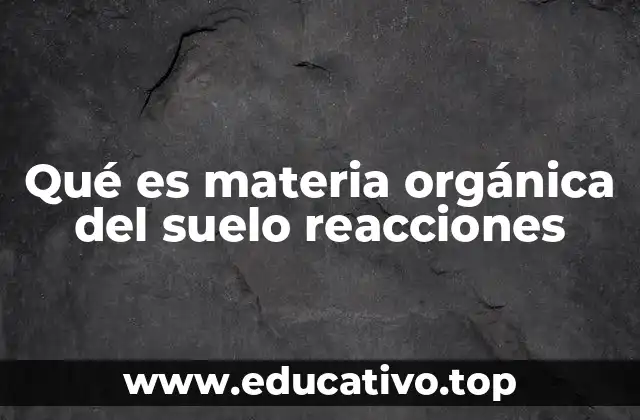 Qué es materia orgánica del suelo reacciones