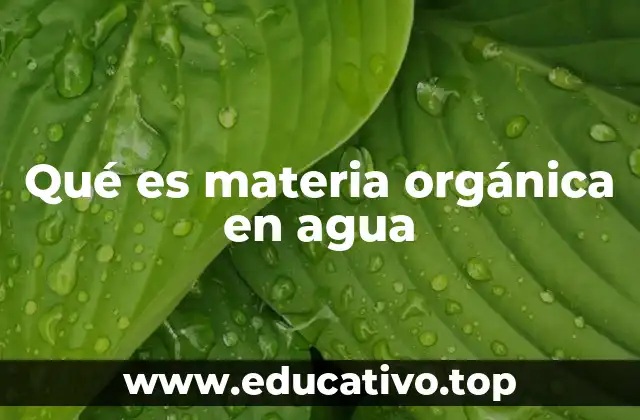 Qué es materia orgánica en agua