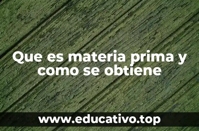 Que es materia prima y como se obtiene