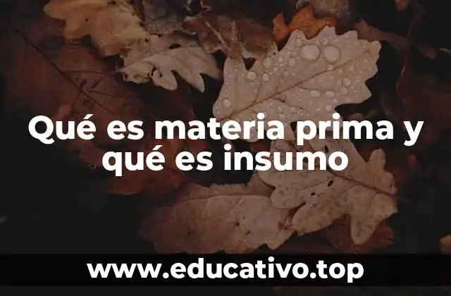 Qué es materia prima y qué es insumo