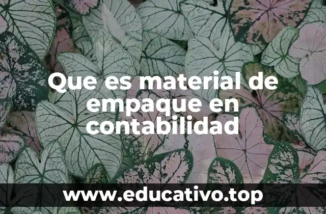 Que es material de empaque en contabilidad