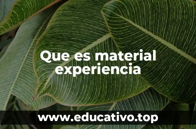 Que es material experiencia
