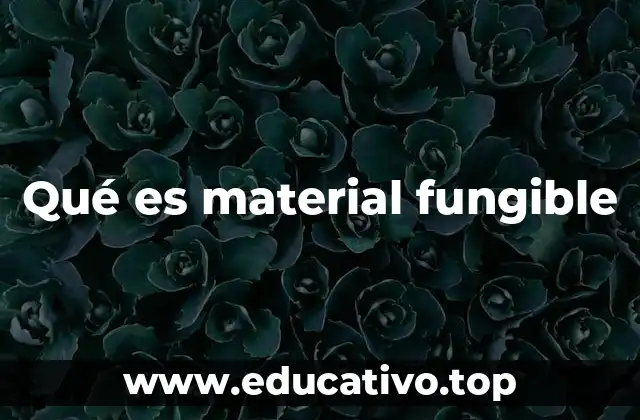 Qué es material fungible