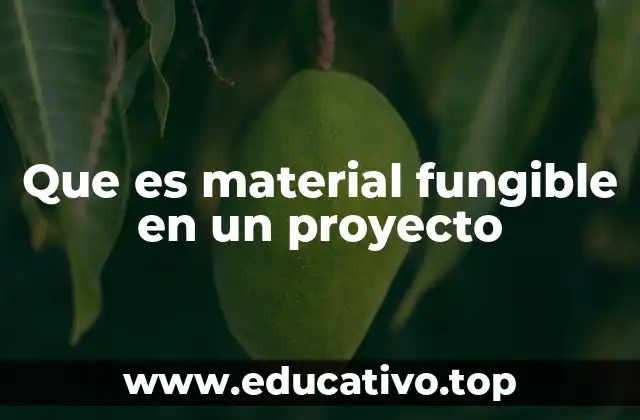Que es material fungible en un proyecto