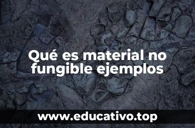 Qué es material no fungible ejemplos