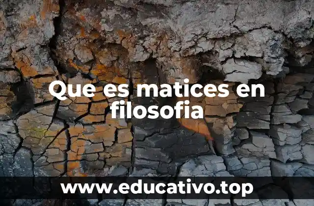 Que es matices en filosofia