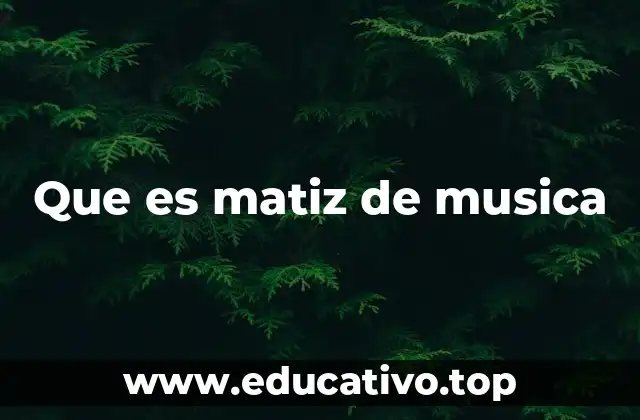 Que es matiz de musica