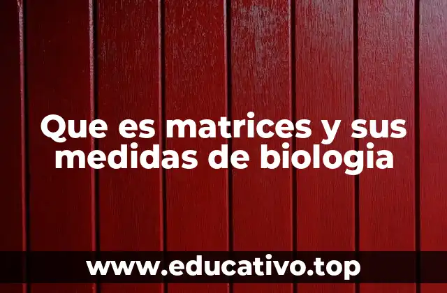 Que es matrices y sus medidas de biologia