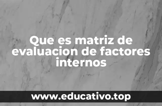 Que es matriz de evaluacion de factores internos