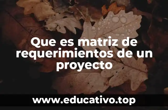 Que es matriz de requerimientos de un proyecto