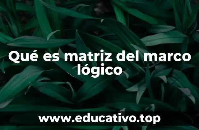 Qué es matriz del marco lógico