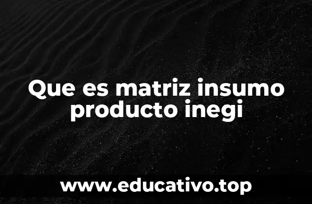 Que es matriz insumo producto inegi