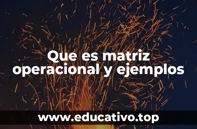 Que es matriz operacional y ejemplos