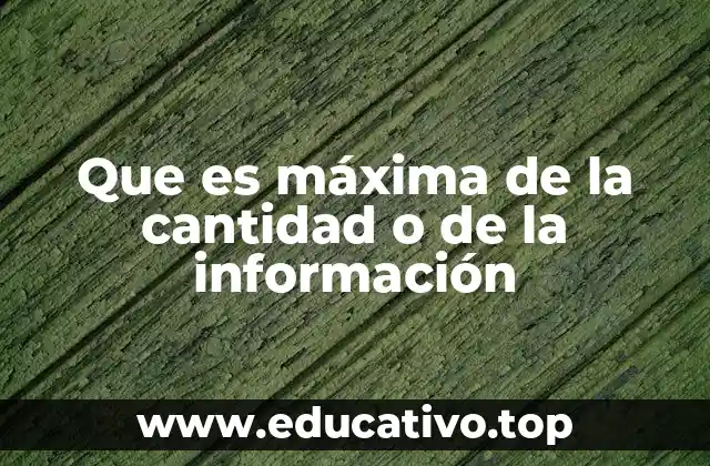 Que es máxima de la cantidad o de la información