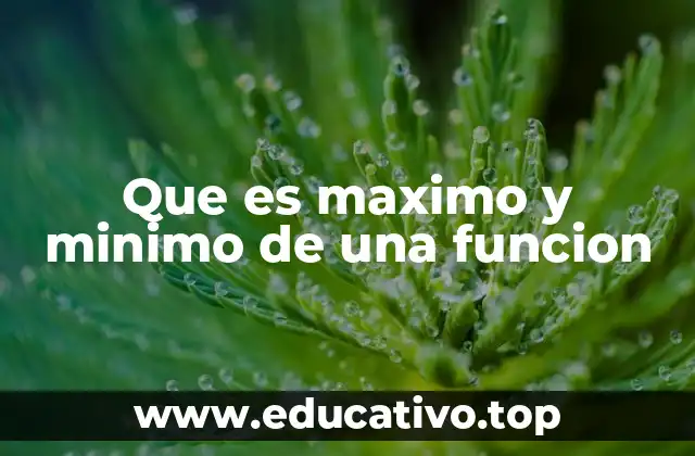 Que es maximo y minimo de una funcion