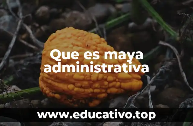 Que es maya administrativa