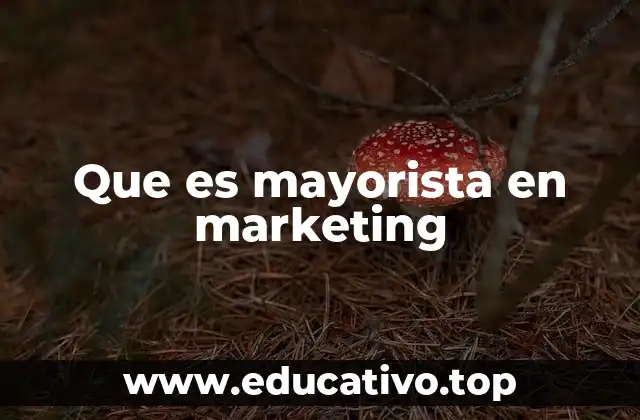 Que es mayorista en marketing
