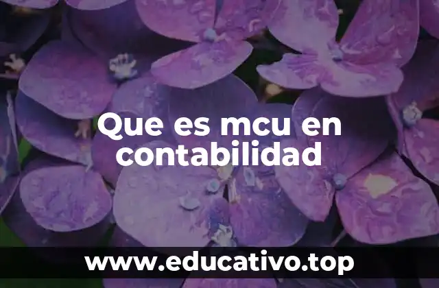 Que es mcu en contabilidad