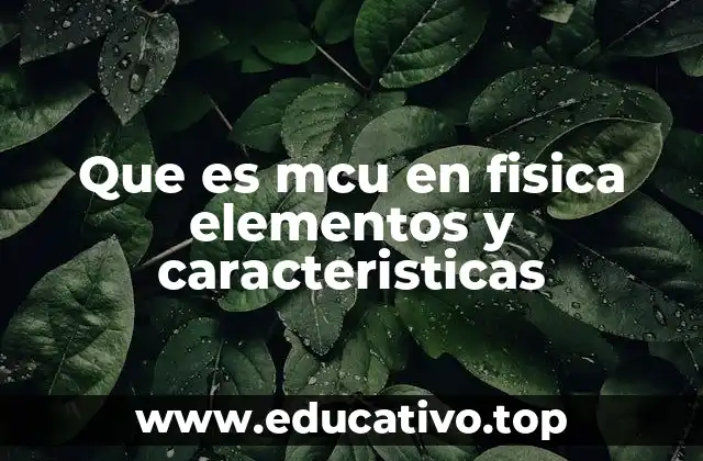 Que es mcu en fisica elementos y caracteristicas