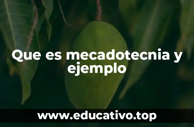Que es mecadotecnia y ejemplo