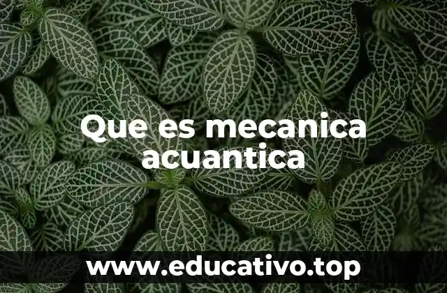 Que es mecanica acuantica