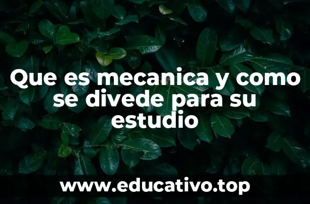 Que es mecanica y como se divede para su estudio