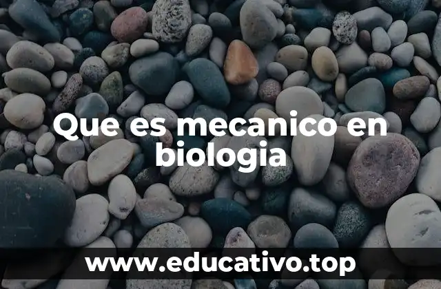 Que es mecanico en biologia