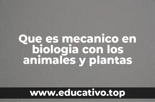 Que es mecanico en biologia con los animales y plantas
