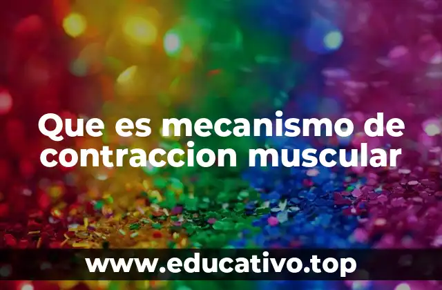 Que es mecanismo de contraccion muscular