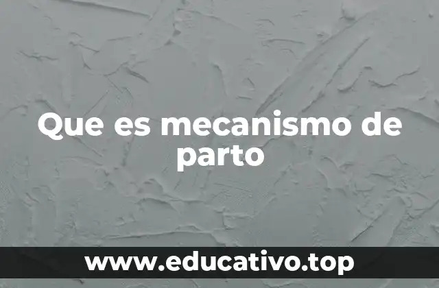 Que es mecanismo de parto