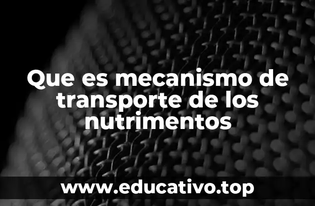 El papel de la membrana plasmática en el transporte de nutrientes