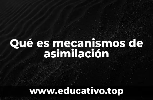 Qué es mecanismos de asimilación