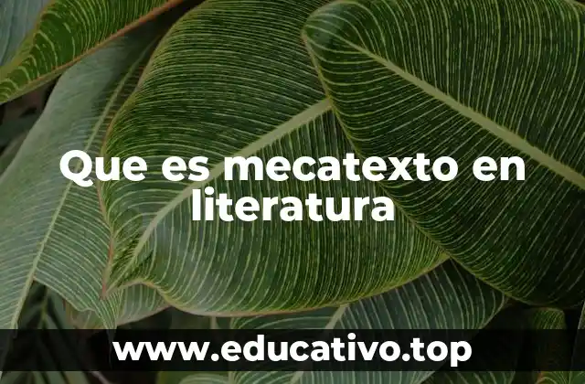 Que es mecatexto en literatura