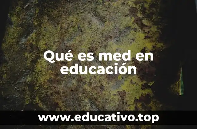 El papel del MED en la formación académica