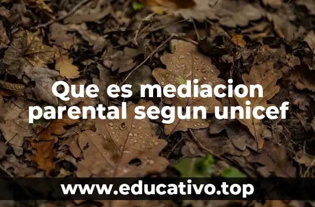 Que es mediacion parental segun unicef