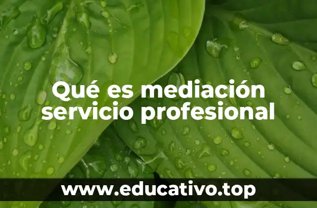 Qué es mediación servicio profesional