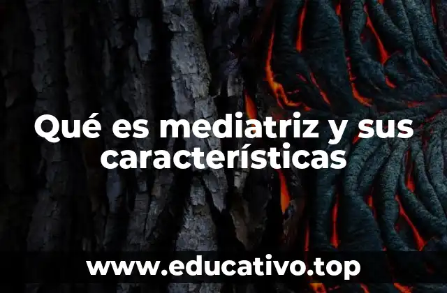 Qué es mediatriz y sus características