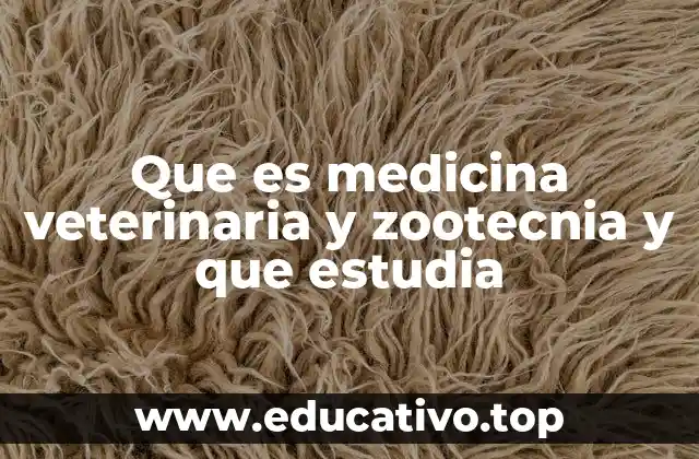 La interrelación entre salud animal y producción ganadera