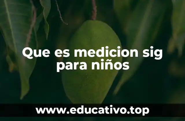 Que es medicion sig para niños