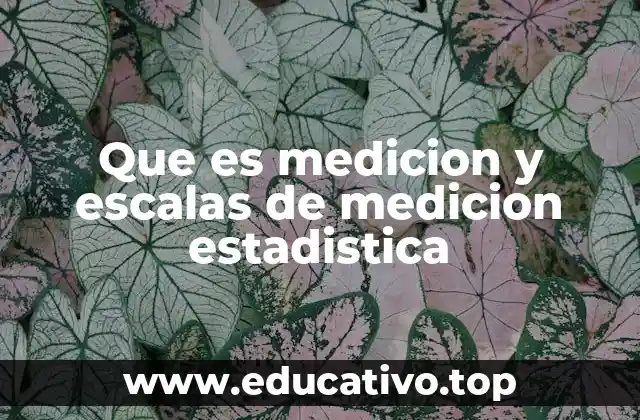 Que es medicion y escalas de medicion estadistica