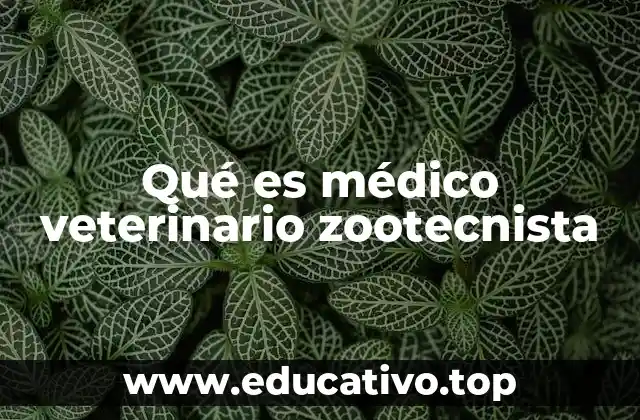 Qué es médico veterinario zootecnista