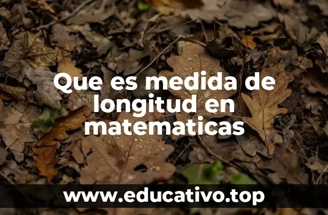 Que es medida de longitud en matematicas